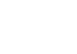 google partner in india