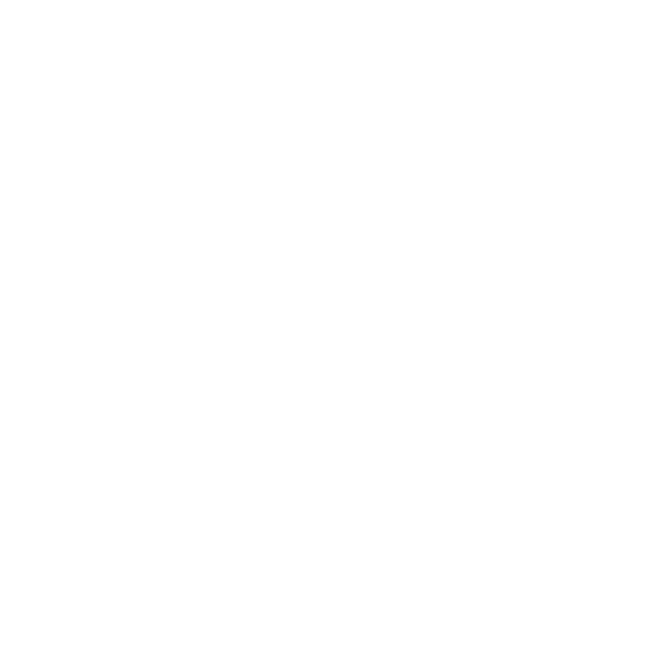 Google Ads Agency - Shopping Ads