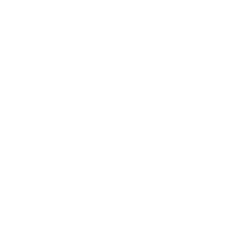 screaming frog